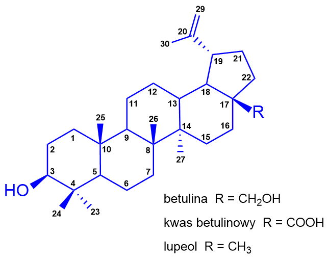 betulina