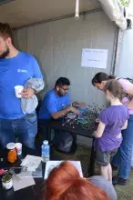 Piknik Fahrenheita