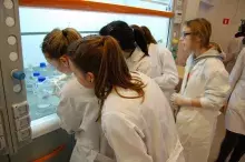 Warsztaty Naukowego Koła Chemików