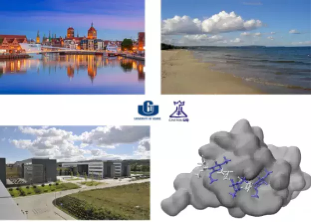 Job offer for a researcher from the Ukraine 2
