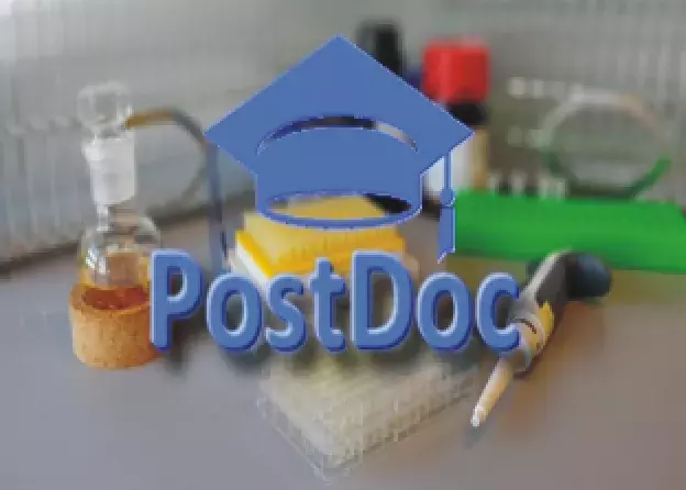 Oferta pracy- PostDoc w grancie Sonata