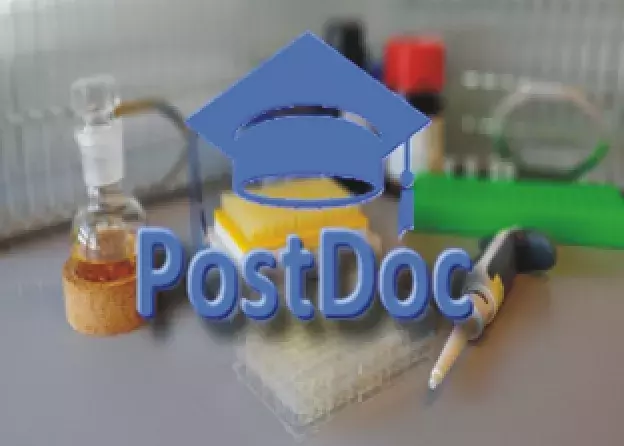 Oferta pracy na stanowisku PostDoc w projekcie Sonata (NCN)