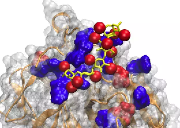 Postdoctoral Researcher position