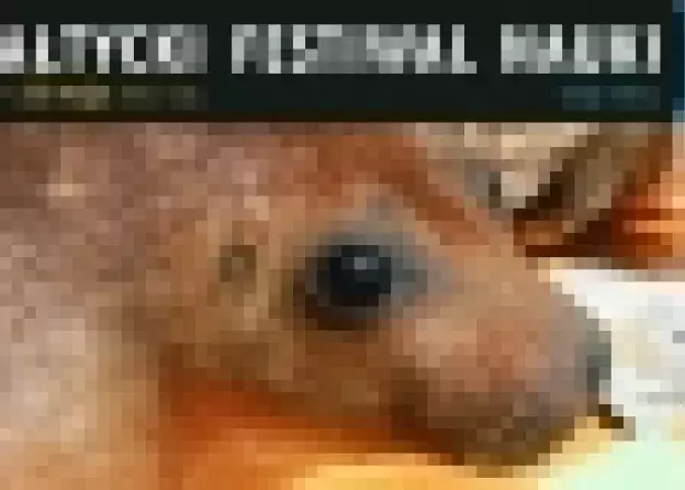 Relacja z XII Bałtyckiego Festiwalu Nauki