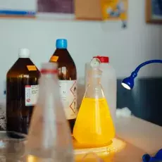 DZIEŃ ZRÓWNOWAŻONEGO ROZWOJU 2022