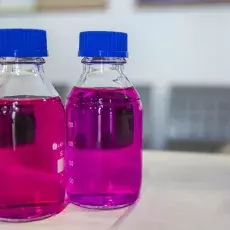 Dzień zrównoważonego rozwoju