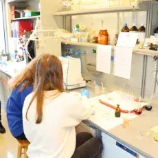 Dzień otwarty na Wydziale Chemii