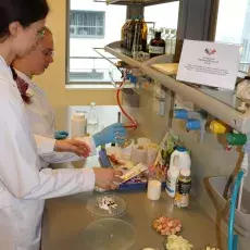 Dzień otwarty na Wydziale Chemii