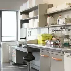 Laboratorium biotechnologiczne- 2