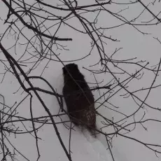 Widoki zza okna, grudzień 2010