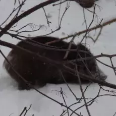 Widoki zza okna, grudzień 2010