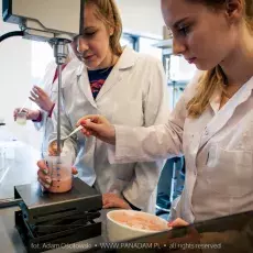 Galeria Wydziału Chemii UG