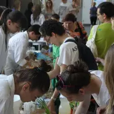 XII BFN WCH